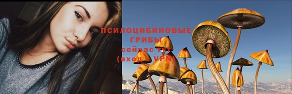 ГАЛЛЮЦИНОГЕННЫЕ ГРИБЫ Вязники