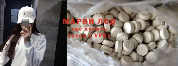 ГАЛЛЮЦИНОГЕННЫЕ ГРИБЫ Вязники