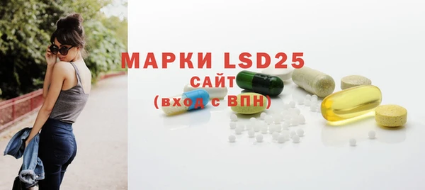 ГАЛЛЮЦИНОГЕННЫЕ ГРИБЫ Вязники